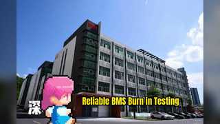 Hochtemperatur-Burn-In-Testsystem