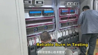 Einbrenntestsystem